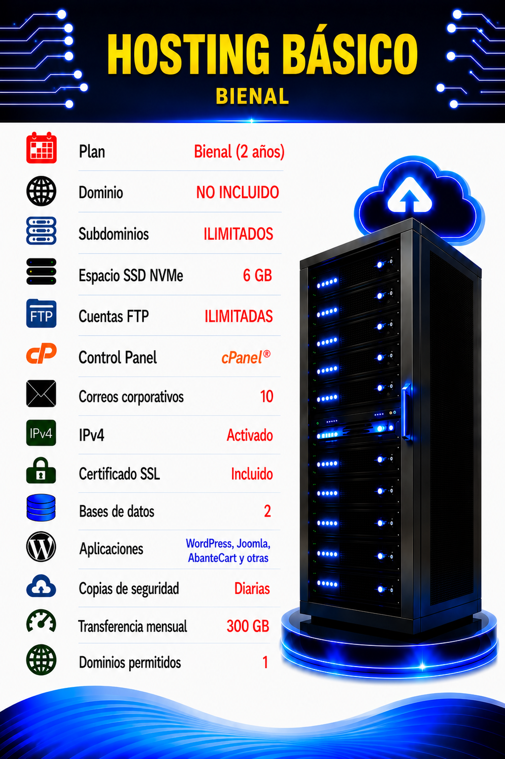 HOSTING BASICO BIENAL